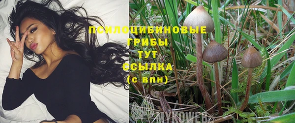 дживик Горно-Алтайск