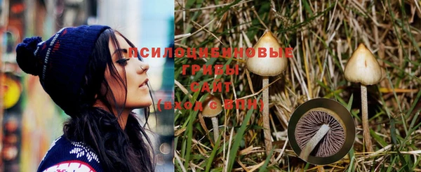 винт Горняк