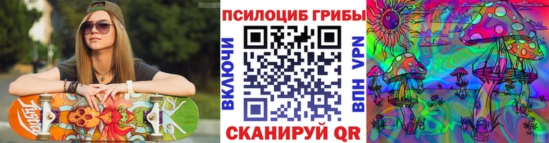 хочу наркоту  Евпатория  Псилоцибиновые грибы прущие грибы 